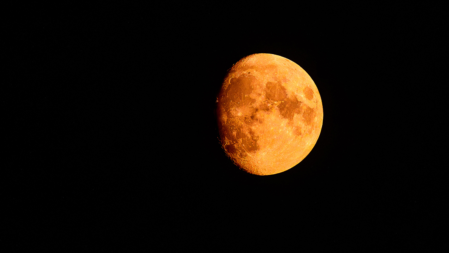 Blood Moon