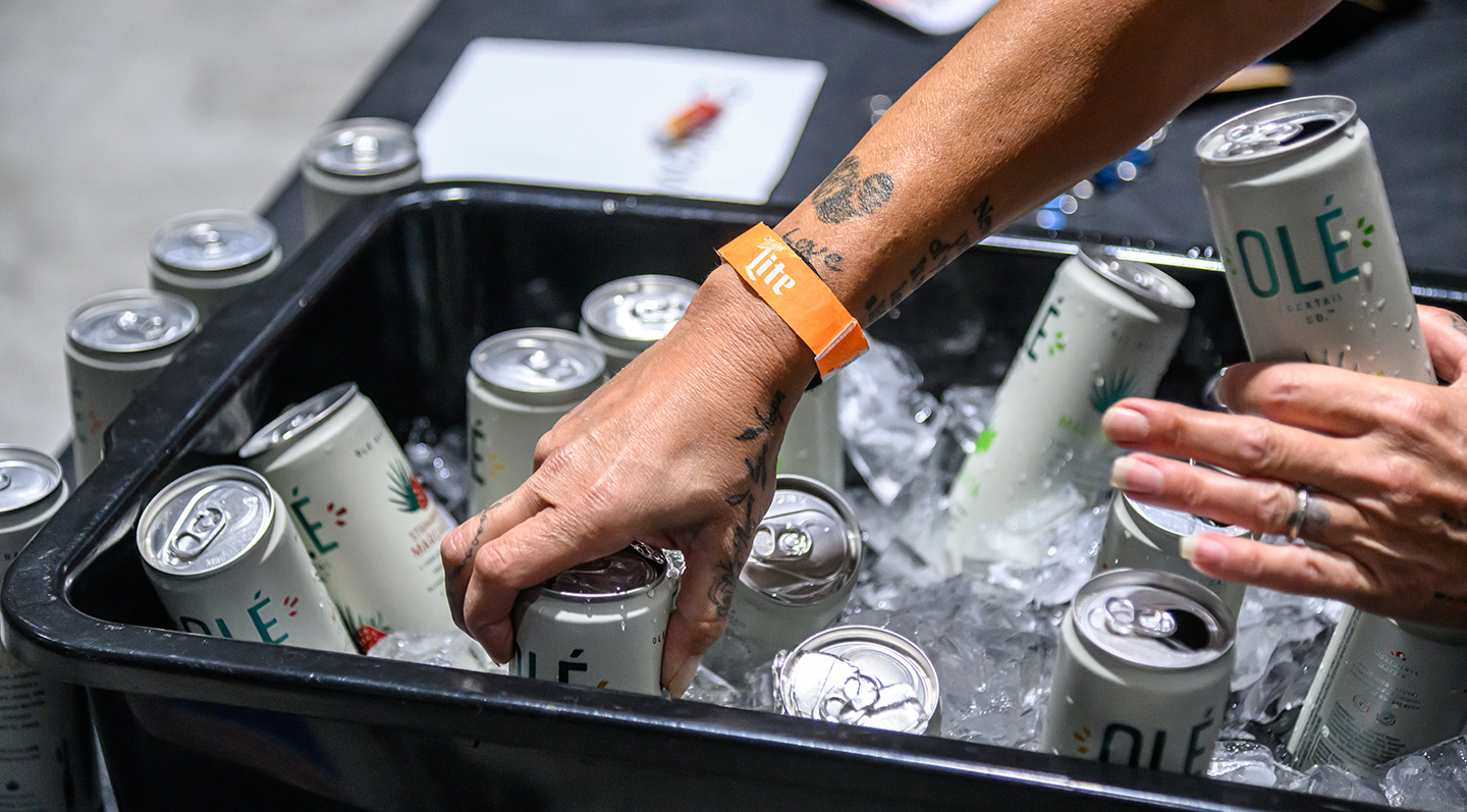 Olcott Park Brewfest: A Summer Tradition