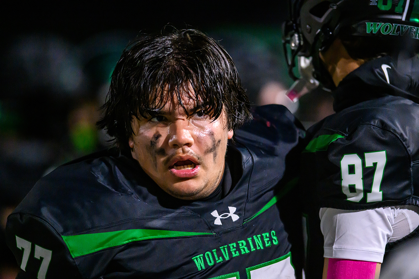 Rock Ridge Falls to North Branch 12-6