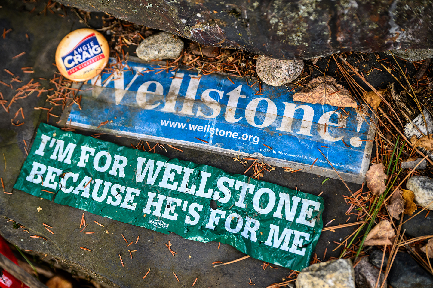 Remembering Paul Wellstone